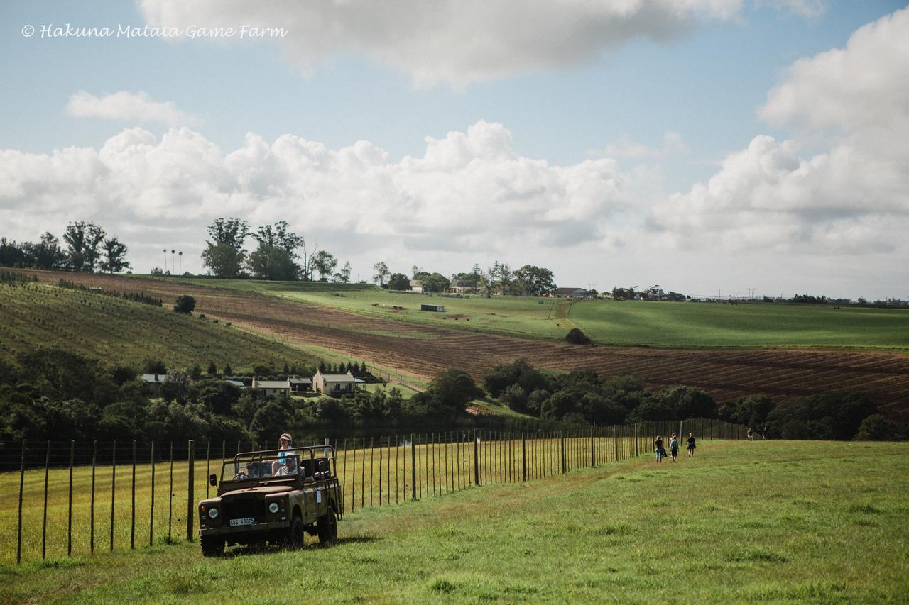 Hakuna Matata Game Farm Great Brak River Zewnętrze zdjęcie