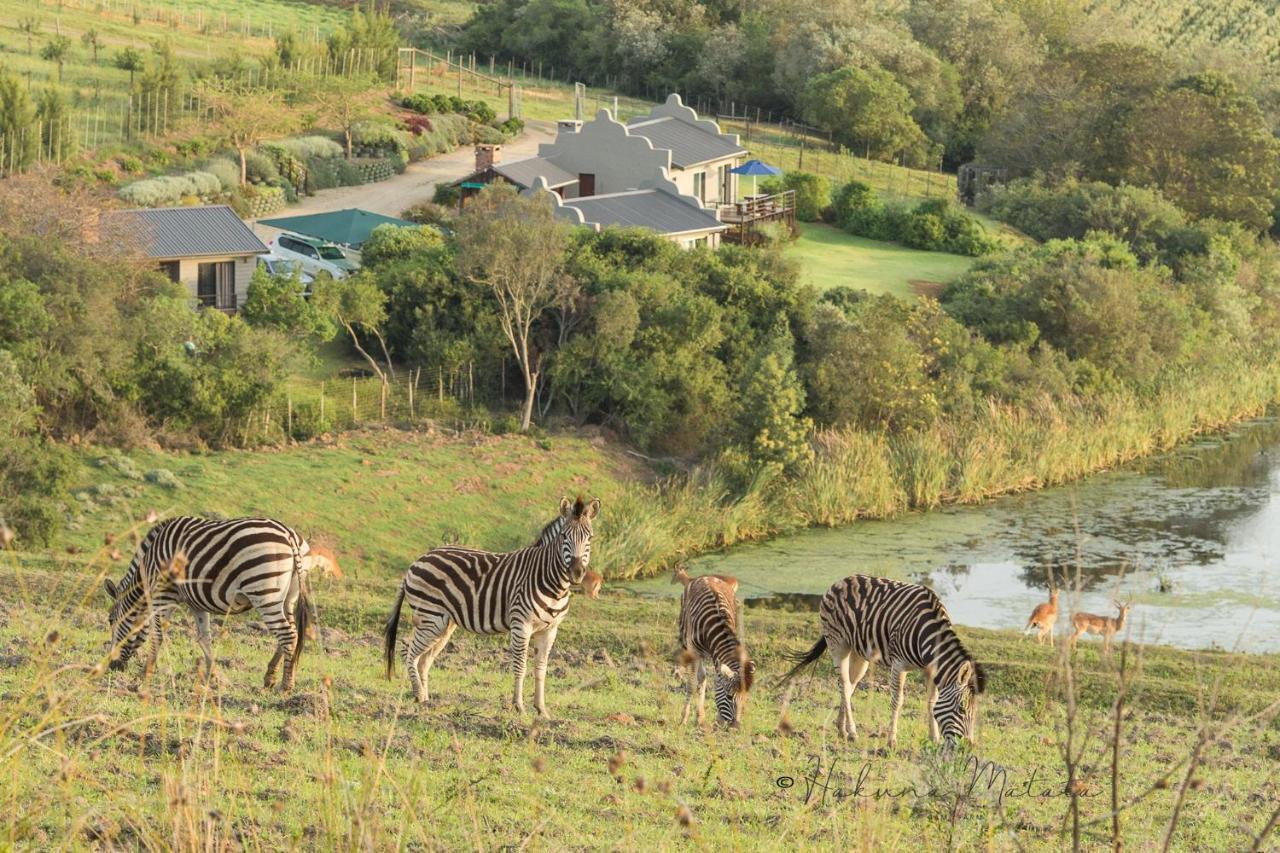 Hakuna Matata Game Farm Great Brak River Zewnętrze zdjęcie